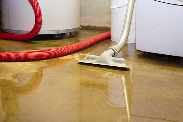 Best Basement water damage restoration  in Loudoun Lley Estates, VA