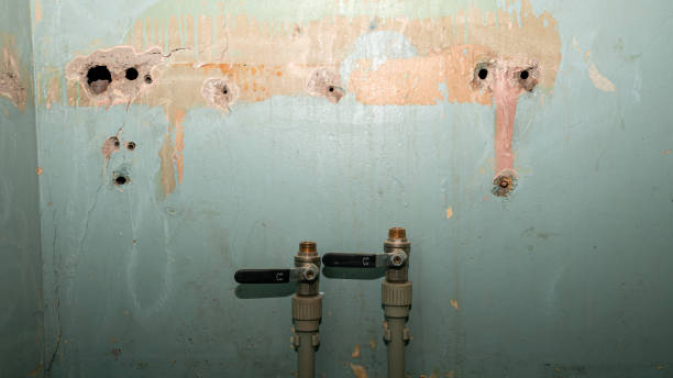 Best Ceiling water damage repair  in Loudoun Lley Estates, VA