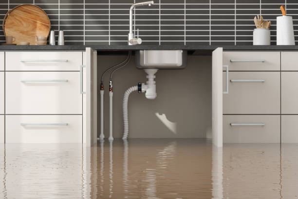 Best Flood restoration services  in Loudoun Lley Estates, VA