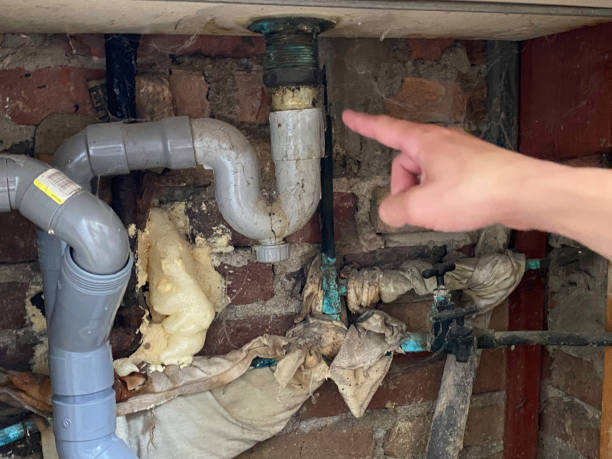 Best Professional water damage repair  in Loudoun Lley Estates, VA